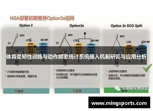 体育柔韧性训练与动作频率统计系统接入机制研究与应用分析